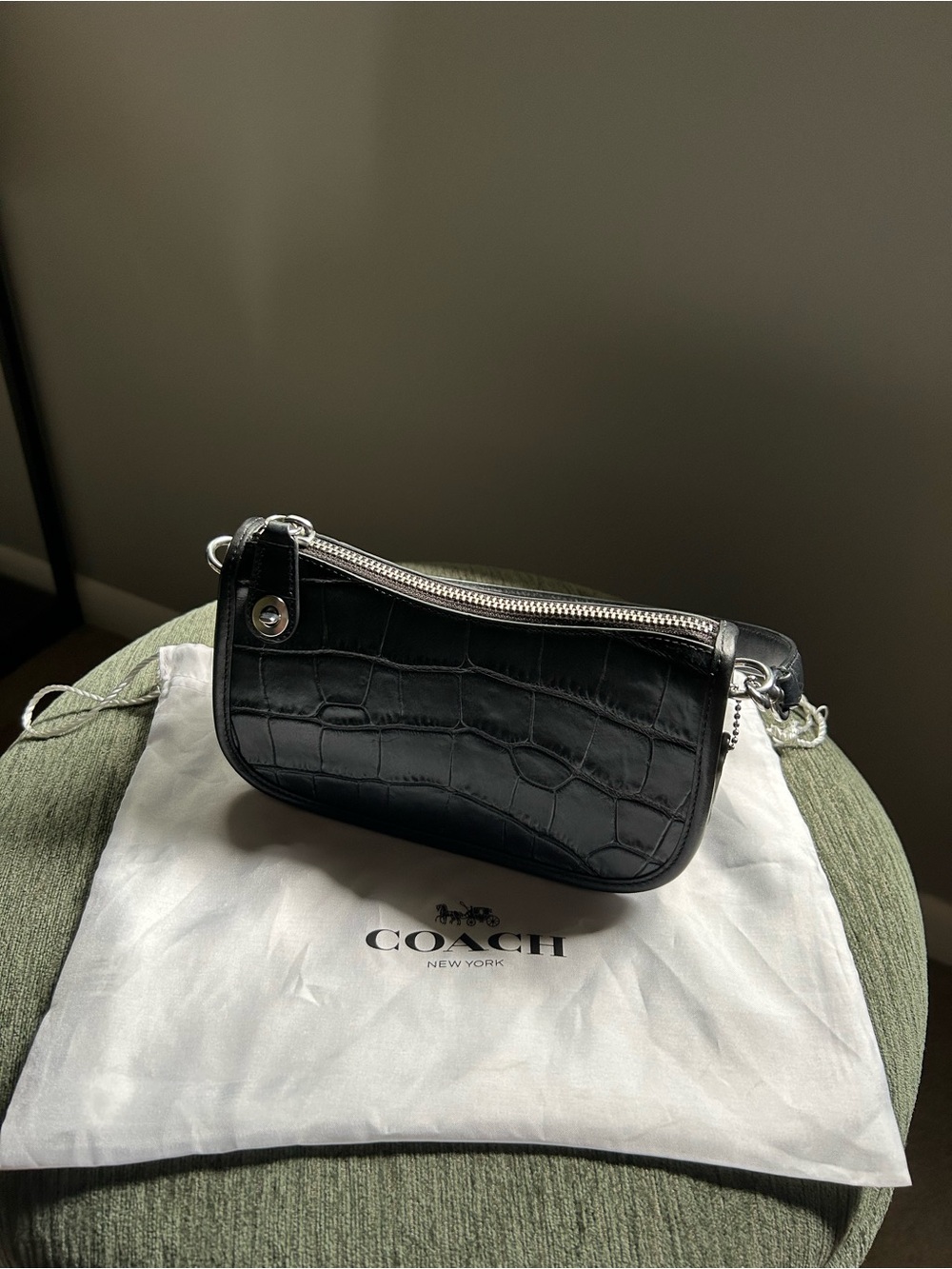 Coach Swinger Bag
Black Croc-Embossed Mini Shoulder Bag with Silver Hardware - Picture 1 of 7